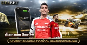 เว็บแทงบอล มืออาชีพ ระบบครบ ราคาดี รองรับสายวิเคราะห์โดยเฉพาะ