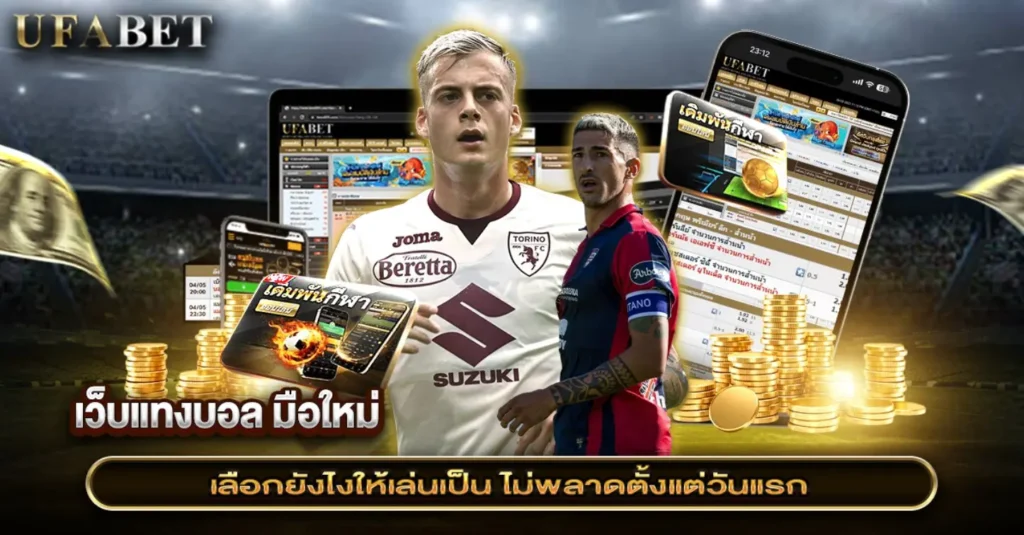 เว็บแทงบอล มือใหม่