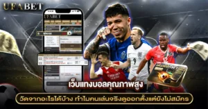 เว็บแทงบอลคุณภาพสูง วัดจากอะไรได้บ้าง คนเล่นจริงดูตรงไหน